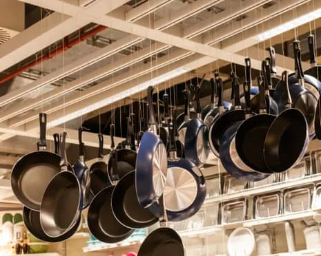 Teflon Diet, Garlic Milk and Striped Cattle Triumph at 2025 Alternative Science Awards