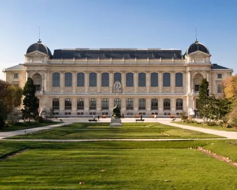 Historic Gold Pieces Stolen in Audacious Raid at French Natural History Museum
