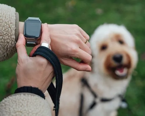 The Reality About Wearable Tech? Living Feels Fuller Without a Hectoring Device on Your Wristwear